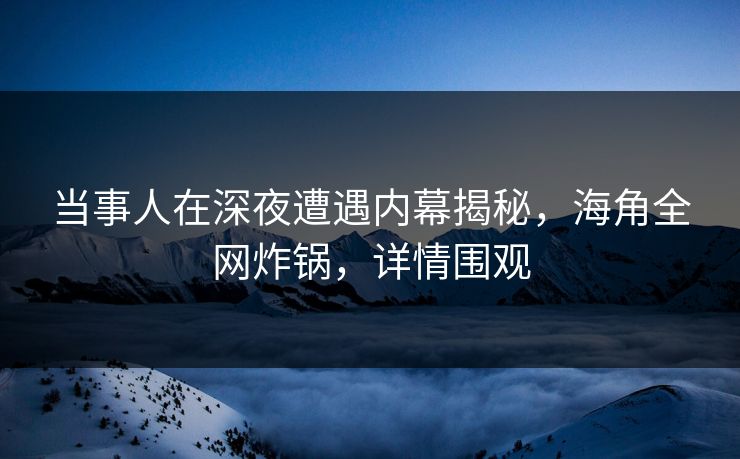 当事人在深夜遭遇内幕揭秘，海角全网炸锅，详情围观