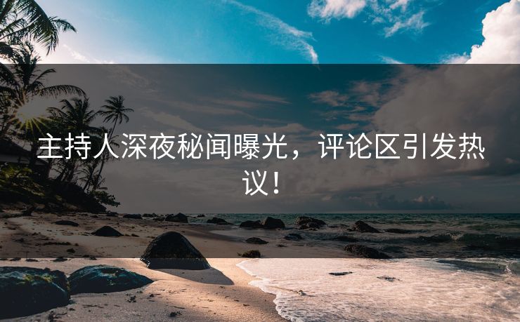 主持人深夜秘闻曝光，评论区引发热议！